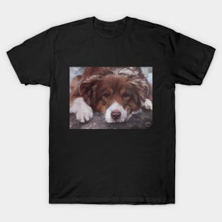 AUSTRALIAN SHEPHERD T-Shirt